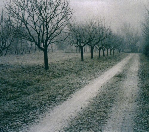 l'ingresso di casa Tommaseo